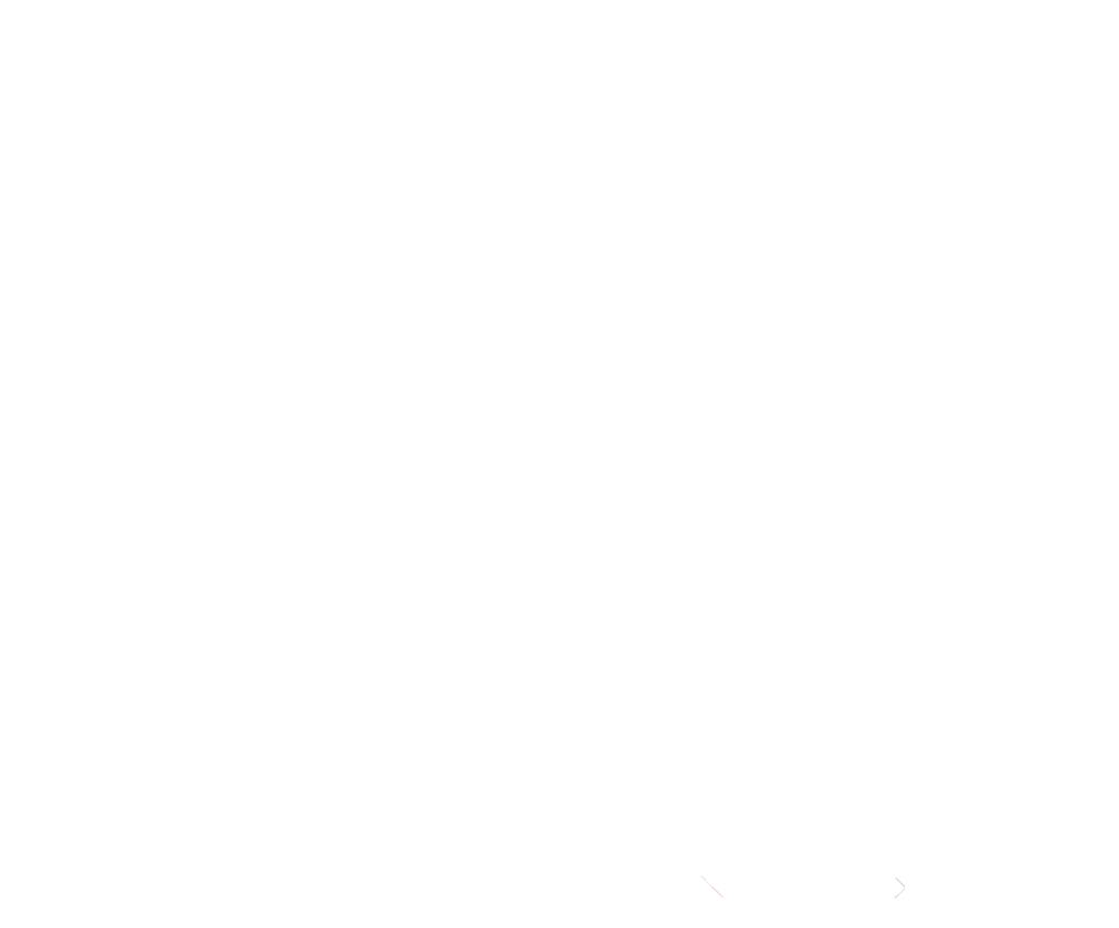 MatizCota